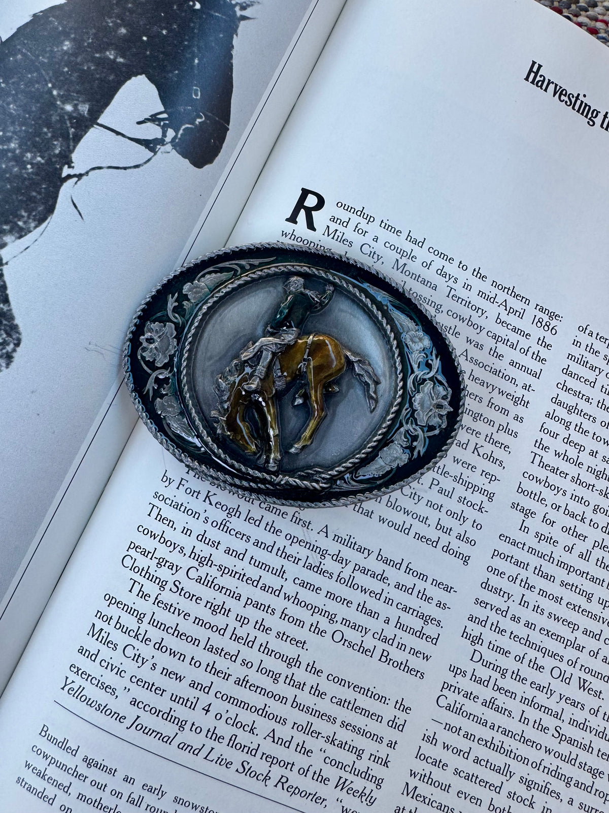 Bronc belt buckle