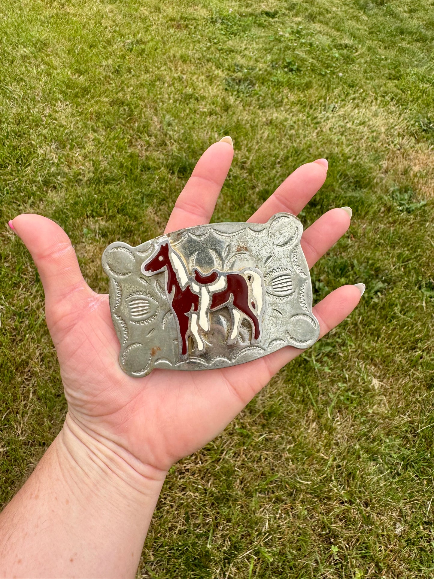 The painted pony