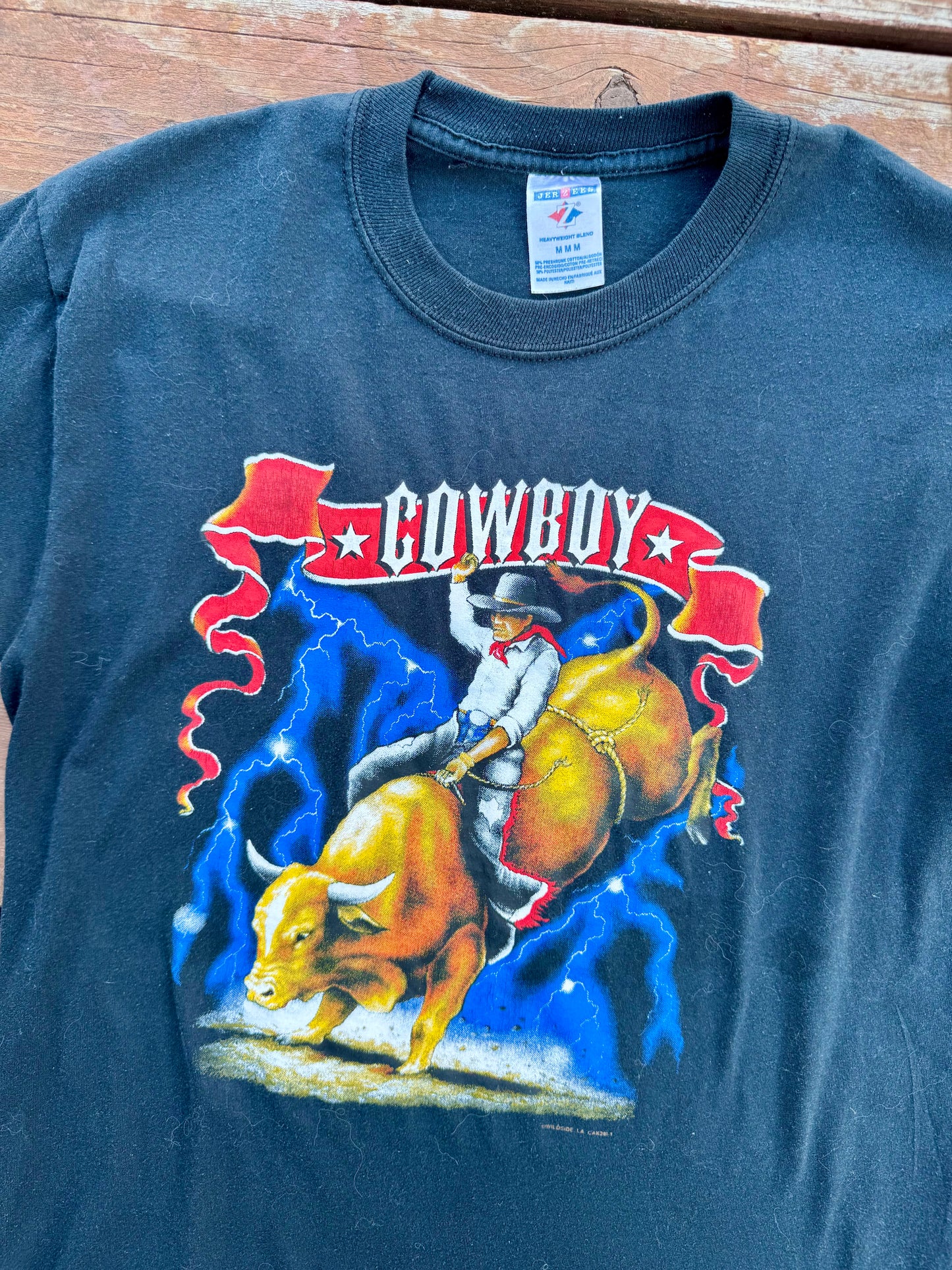 The bull rider-medium