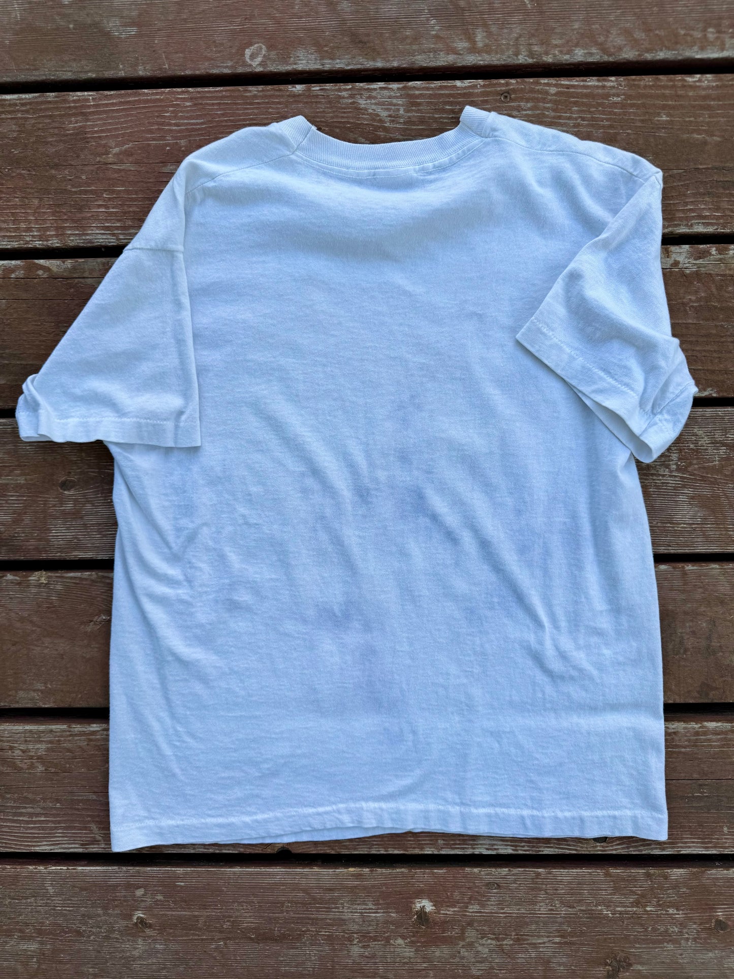 NFR steer wrestler-large