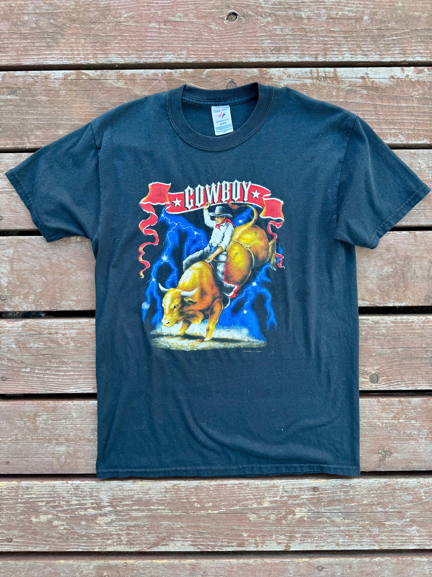 The bull rider-medium