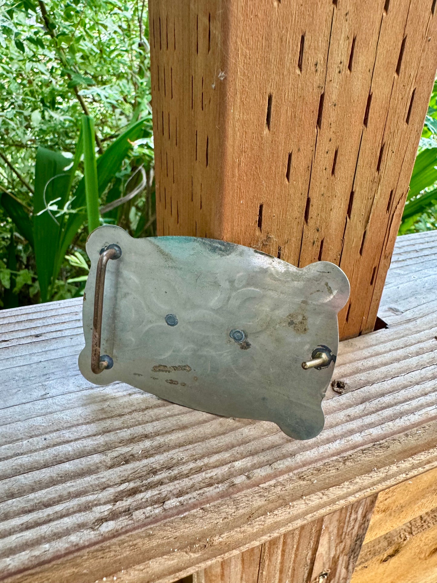 The painted pony