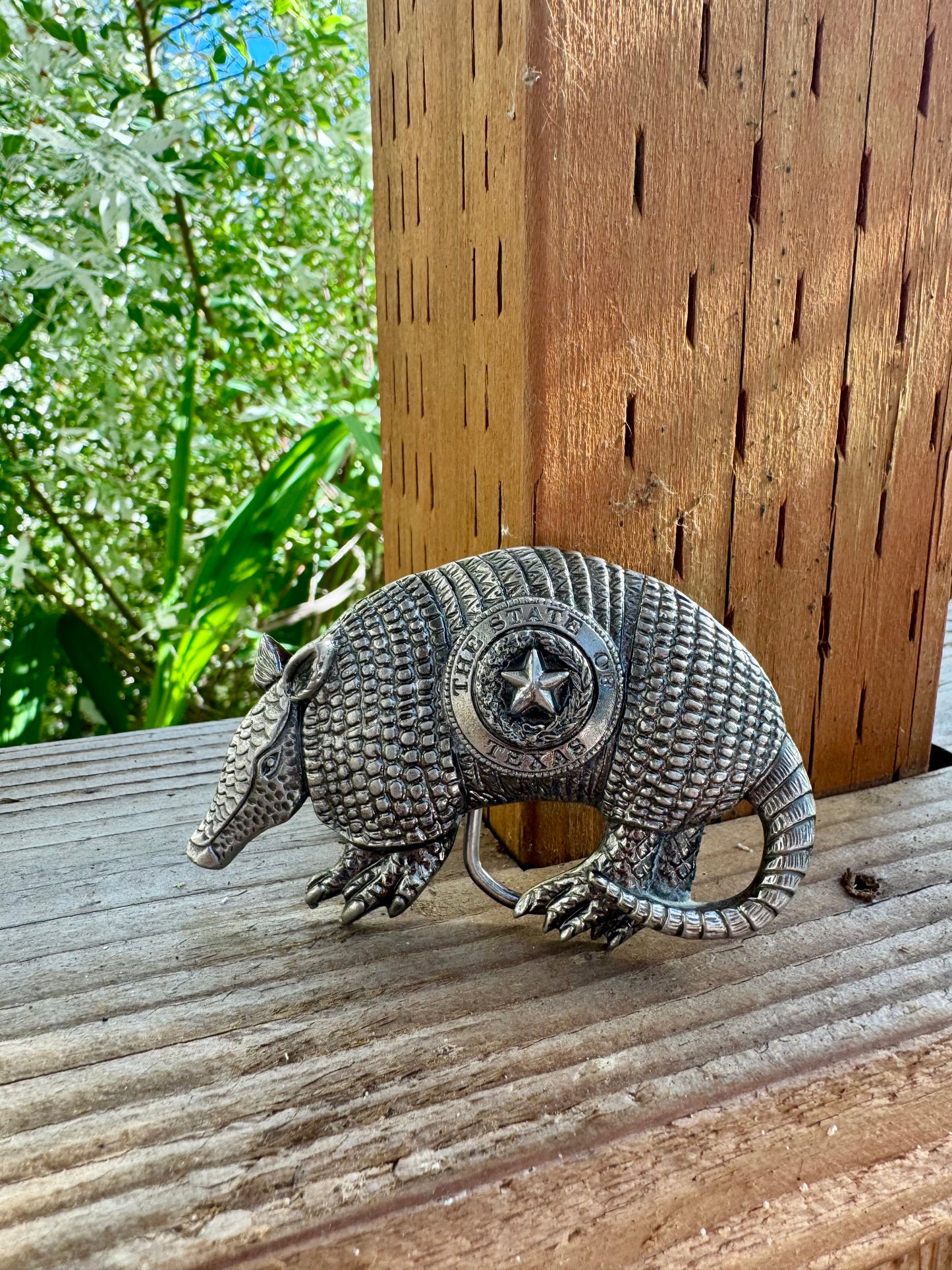 The Dillo buckle