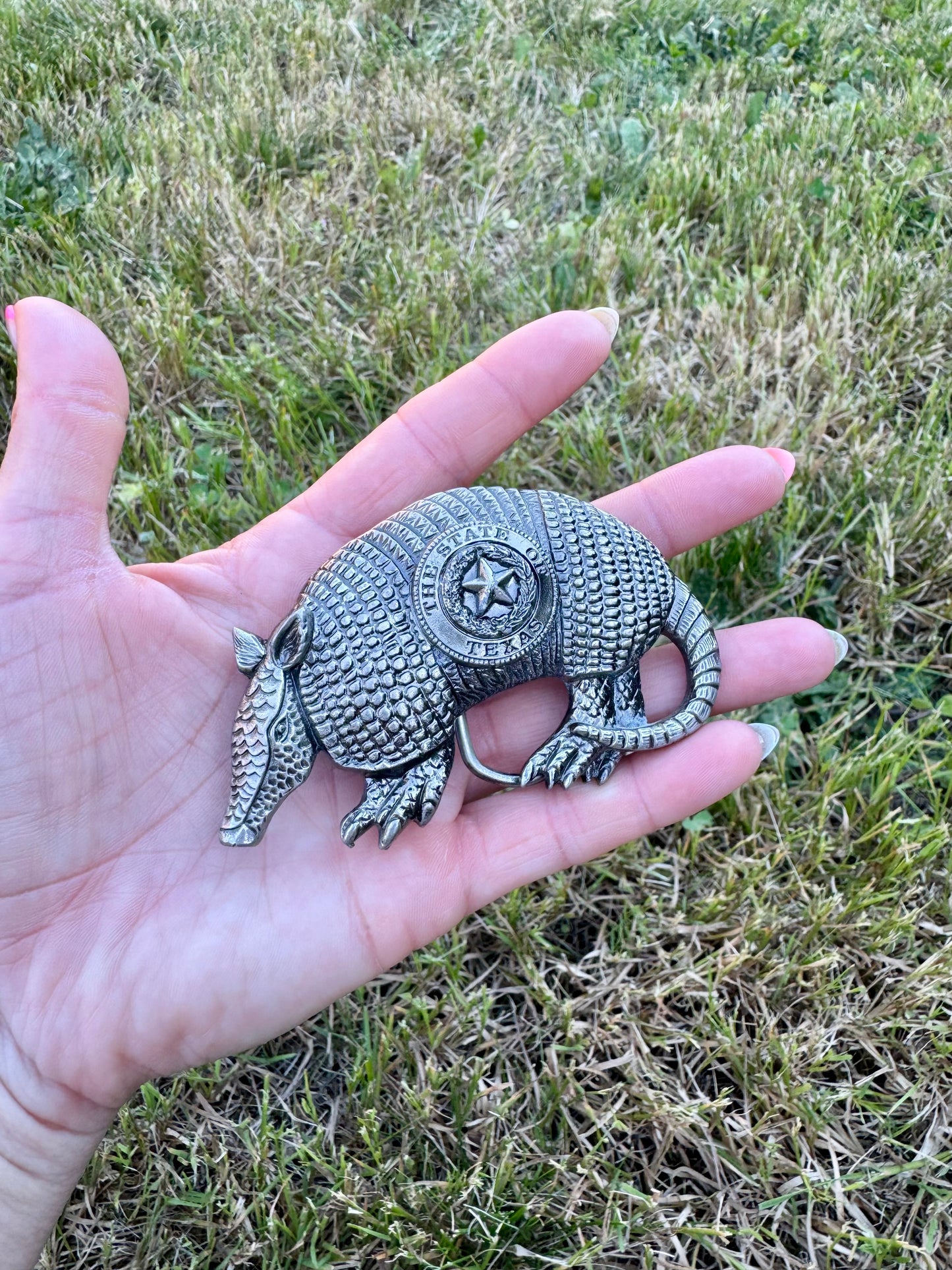 The Dillo buckle