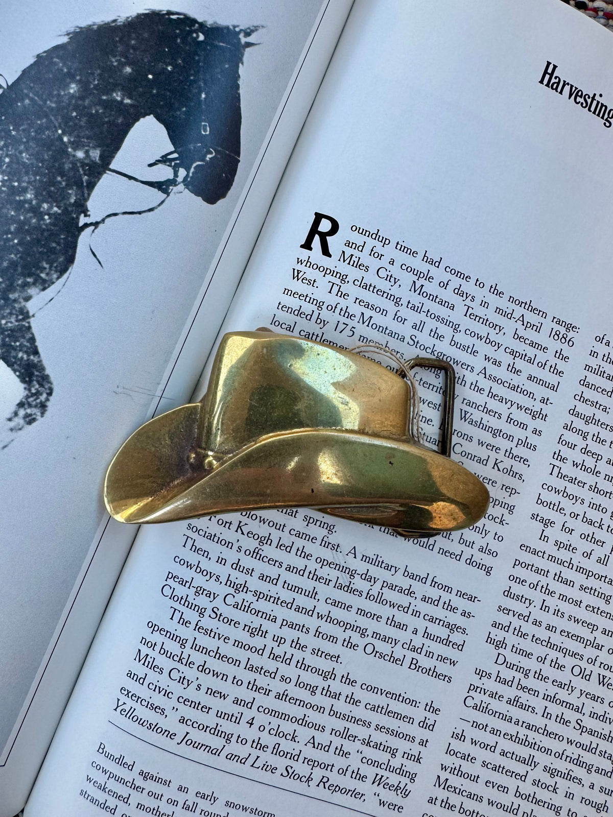 Brass hat belt buckle
